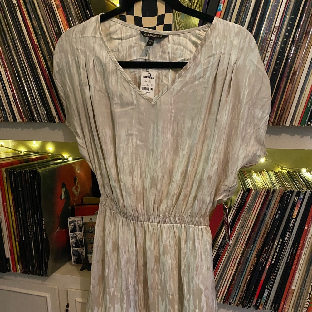 NWT Express Dress